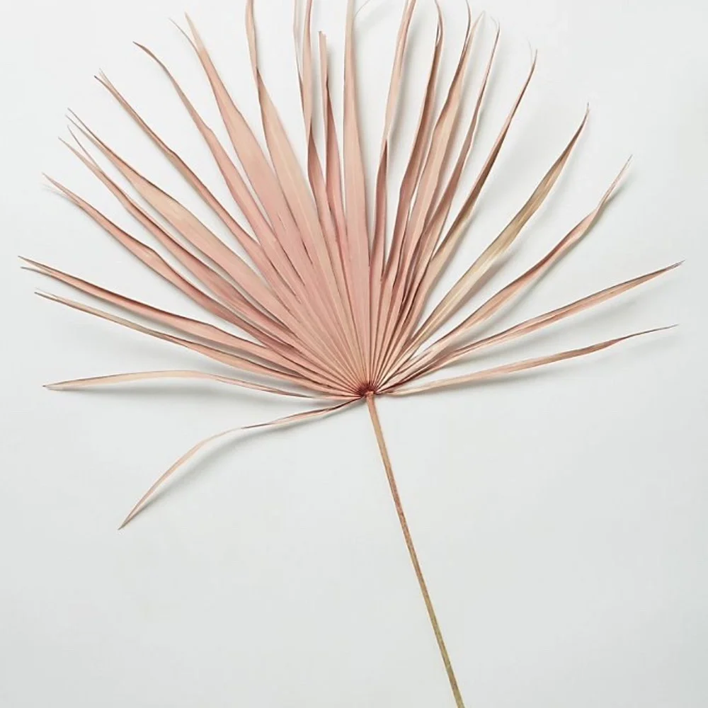 Set of 2 Anthropologie  Pink Terrain Dried Palm Fronds (2)